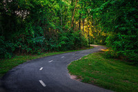 USA_Forests_Roads_Columbus_