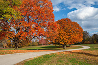 USA_Parks_Autumn_Roads