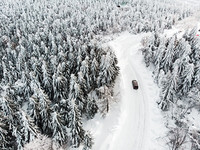 Winter_Roads_Forests