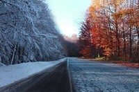 Roads_Winter_Trees_Snow_