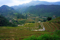 Vietnam_Muong_Hoa_Valley