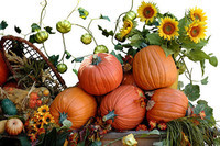 Pumpkin_Autumn_