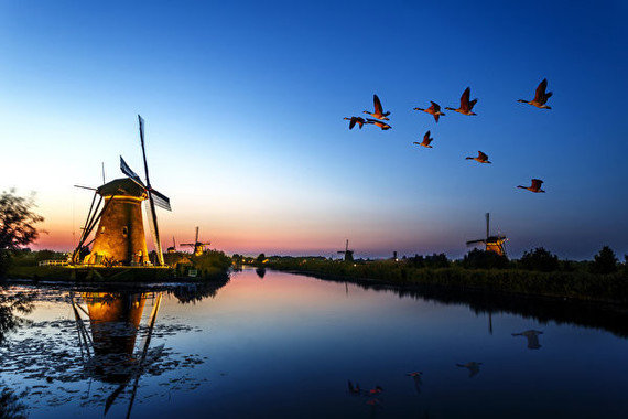 Rivers_Evening_Birds_Ducks_Mill