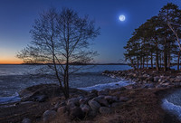 Sweden_Evening_Moon_Trees