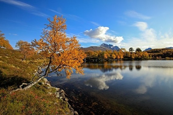 Lake_Autumn_