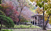 Japan_Kyoto_Parks_