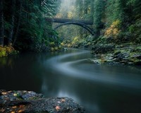 Forests_Rivers_Bridges_