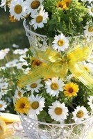 fleurs de printemps vase jaune
