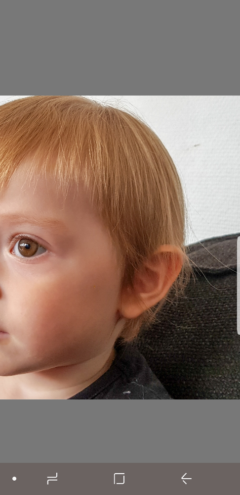 Cheveux De Mon Bebe Reflets Roux A La Lumiere Sera T Il Roux Page 2 Bebe Grandit Forum Grossesse Amp Bebe Doctissimo