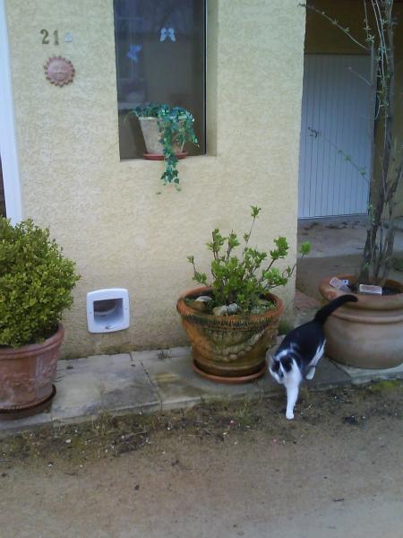 Pose De Chatiere Sur Double Vitrage Bricolage Forum Vie Pratique Doctissimo Pose De Chatiere Sur Double Vitrage Bricolage Forum Vie Pratique Doctissimo