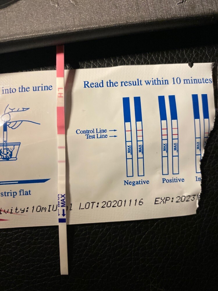 test ovulation bandelette Courbe de température ovulation FORUM