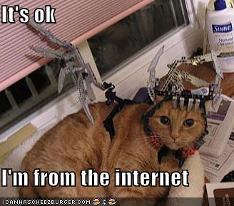 funny-pictures-cat-from-the-internet1