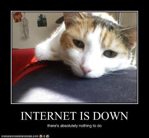 lolcat-internet-down