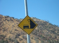 Danger, chute de vaches