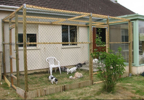 Pictngamukjph5lp 25 Construire Un Enclos Pour Chat Construire Un Enclos Pour Chat Pictngamukjph5lp 25 Construire Un Enclos Pour Chat Construire Un Enclos Pour Chat