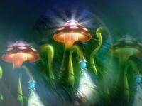 fdv ecran mushroom
