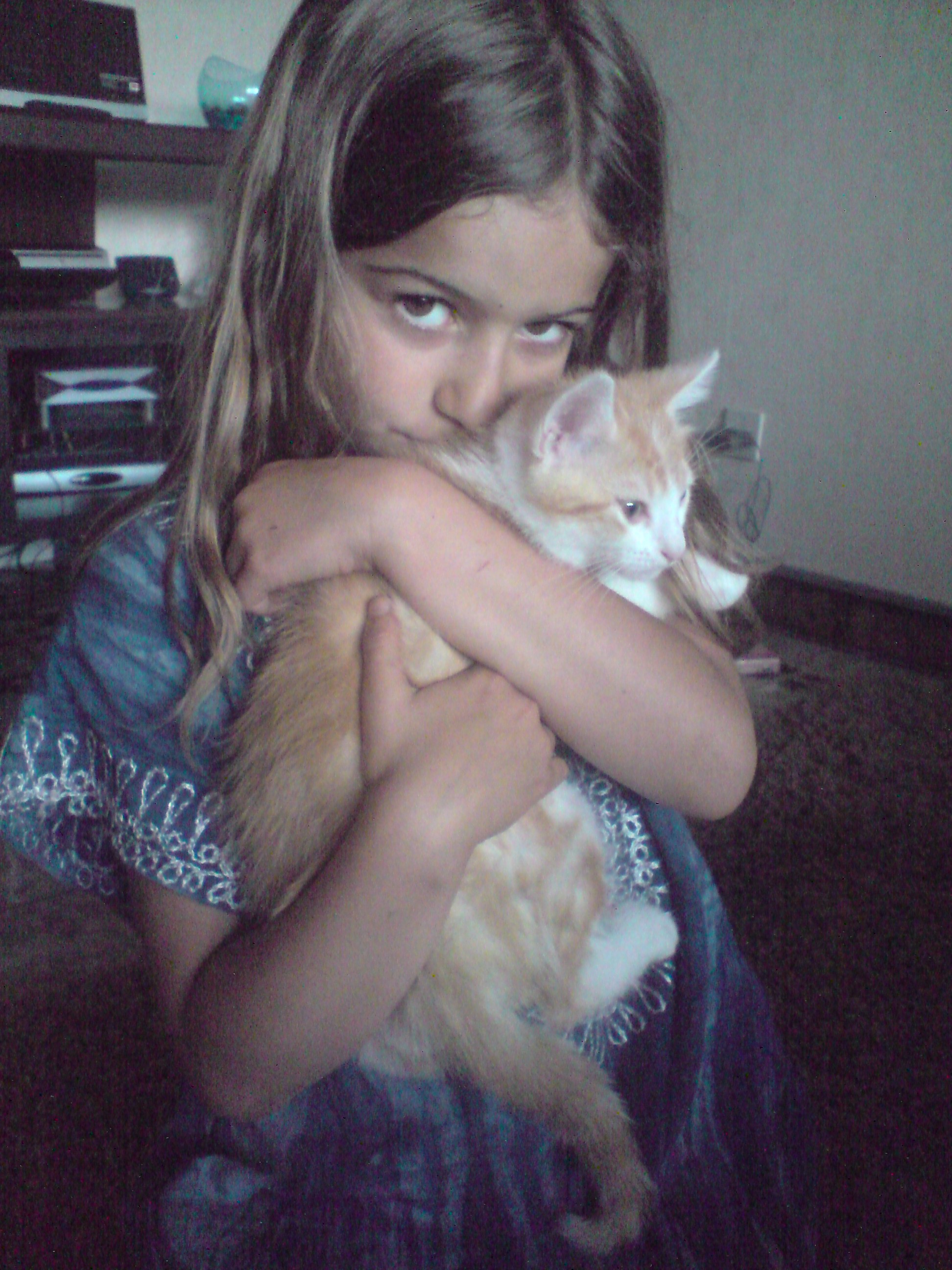 Le Nom De Votre Chat Chats Forum Animaux Le Nom De Votre Chat Chats Forum Animaux