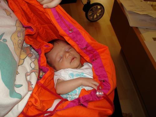 Porte Bebe Premaxx Avis Cheap Online