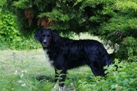 103641167_10158463225029583_262640248272060853_o