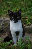 121137919_10158800307789583_2304223590504035657_o