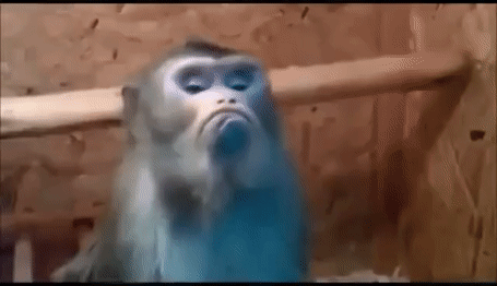 big-3112608488d.gif big-3112608488d.gif