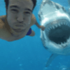 shark-selfie-460x307