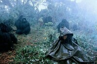 Sigourney Weaver in "Gorilles dans la brume" de Michael Apted (1988)