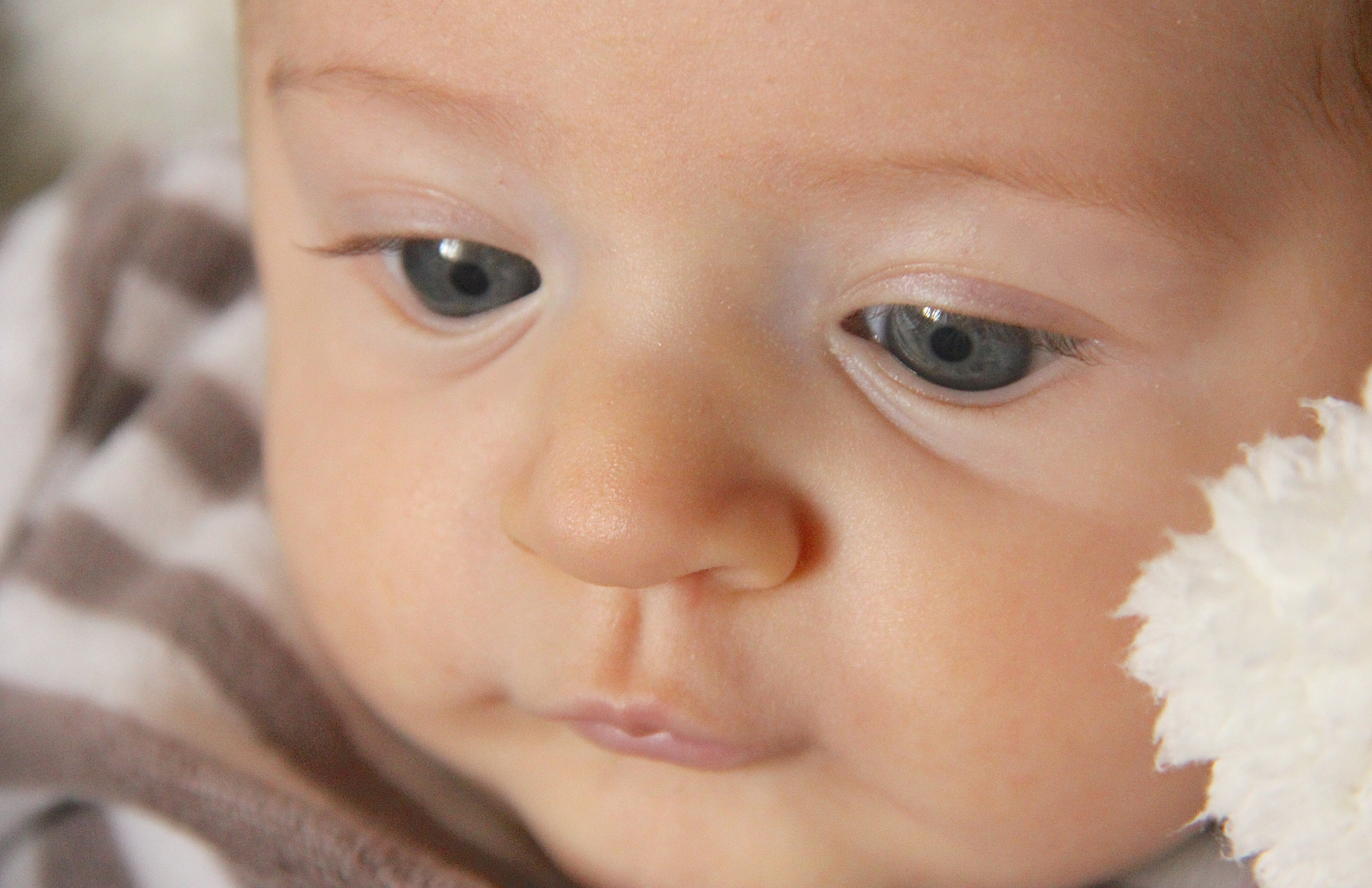Couleur Yeux Bebe 5 Mois Papa Yeux Bleus Maman Yeux Marrons Verts Page 2 Developpement De L Enfant Forum Grossesse Amp Bebe Doctissimo Couleur Yeux Bebe 5 Mois Papa Yeux Bleus Maman Yeux Marrons Verts Page 2 Developpement De L Enfant Forum Grossesse Amp Bebe Doctissimo