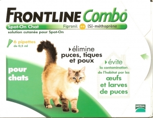 Comment Se Debarasser Des Crottes De Puces Chats Forum Animaux Comment Se Debarasser Des Crottes De Puces Chats Forum Animaux