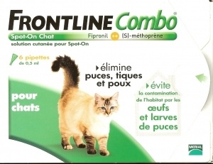 Comment Se Debarasser Des Crottes De Puces Chats Forum Animaux Doctissimo Comment Se Debarasser Des Crottes De Puces Chats Forum Animaux Doctissimo