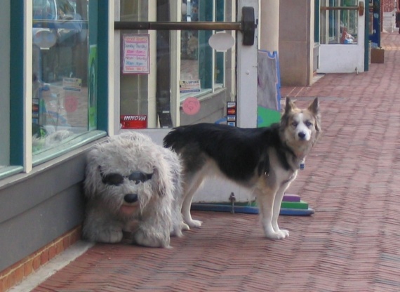 Toutou, Fells Point, Baltimore (Apr 24, 2006)