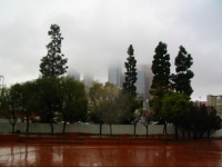 Gratte-ciel sous les nuages - Los Angeles (22 mar 2005)