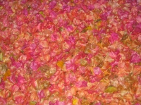 Parterre de petales roses