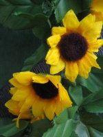 Fake Sunflowers (May 6, 06)