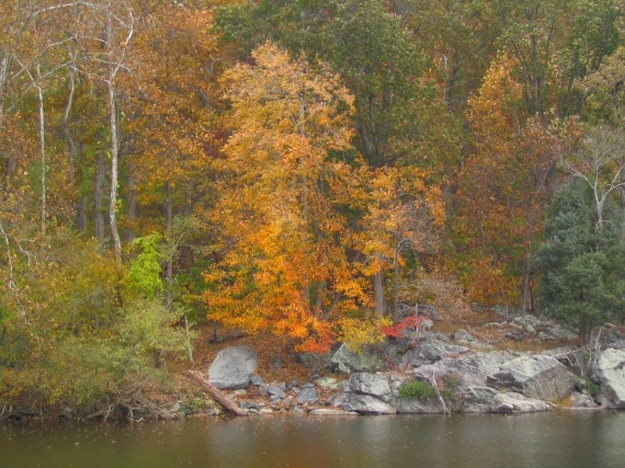 Great Falls of Potomac, MD