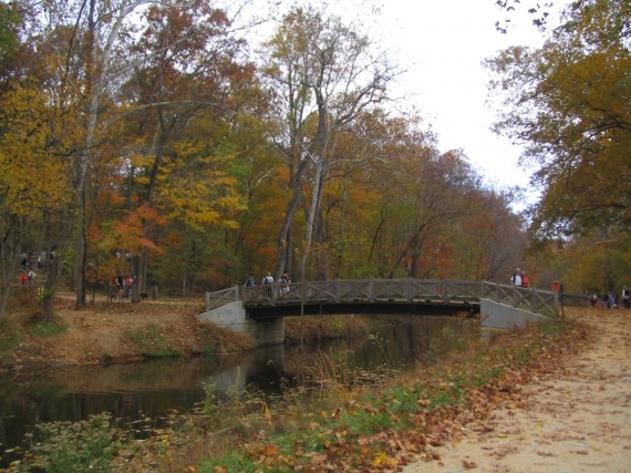 Pont, Great Falls of Potomac, MD