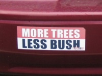 More trees, less bush