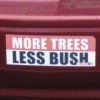 More trees, less bush