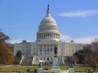 Gros plan sur The Capitol