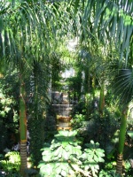 La Jungle au Botanical Garden