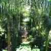 La Jungle au Botanical Garden