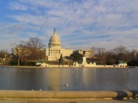 The Capitol in Washington DC