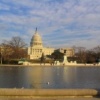 The Capitol in Washington DC
