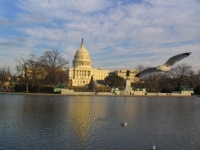 The Capitol in Washington DC