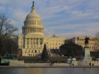 The Capitol in Washington DC