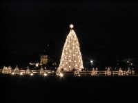 Christmas tree devant la White House