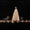 Christmas tree devant la White House