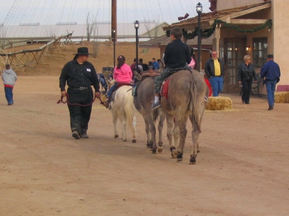 Des mulets a Rawhide