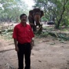 Parc d'Elephants, Inde