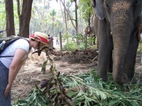 Agnes salue l'elephant